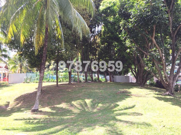 Blk 235 Bukit Panjang Ring Road (Bukit Panjang), HDB 5 Rooms #73494062